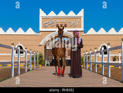 L'Arabie l'homme avec son cheval arabe dans Alhazm stud, Province de Najran, Khubash, l'Arabie Saoudite Banque D'Images