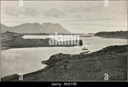 . La botanique de l'Islande. Botanique -- Islande. 208 THORODDSEN de Geysir, Hvita constitue la grande cascade Gullfoss. Vers l'ouest, une autre nommée rivière Hvita. flowrs vers le bas à travers le district de Borgarfjord ; elle porte un grand volume d'eau et de l'ils cours inférieur est navigahle. Dans le nord-ouest, il y a pas de grandes rivières, mais dans le Nord de l'Islande beaucoup de tels cas, entre autres, les questions de Blanda qui Arnarfellsjokull Hiinafloi et s'écoule dans. À partir de la même Jokull aussi Hjeraflsvotn les questions qui s'écoule à travers le district de Skagafjord et se vide dans le fjord par deux. Fig. 3. L Banque D'Images