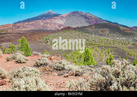 Pico del Teide - volcan spectaculaire sur l'île de Tenerife, avec ses environs Banque D'Images