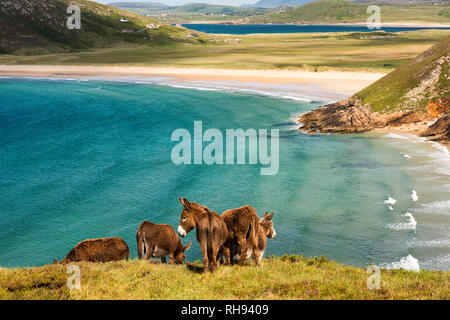 Tranarossan beach à Rosguill, Donegal, Irlande Banque D'Images