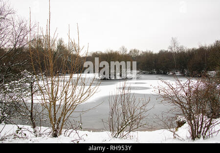 Paysage de neige, des lacs Frogmore St Albans, Hertfordshire, Royaume-Uni Banque D'Images