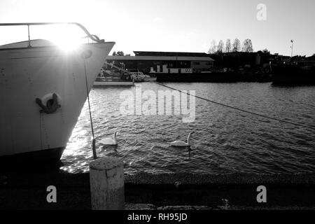 Medina Quay, Newport, Isle of Wight, Angleterre, Royaume-Uni. Banque D'Images