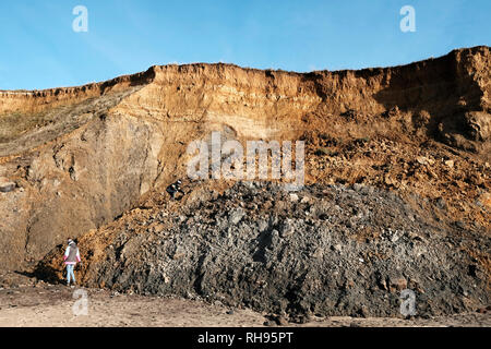 L'érosion côtière sur la plage de Compton Compton, Bay, Compton, île de Wight, Angleterre, Royaume-Uni. Banque D'Images