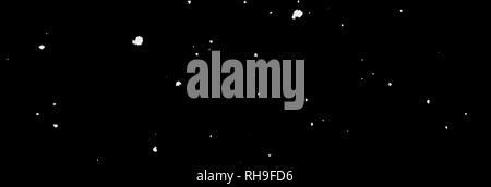 La chute des flocons de neige en face de fond noir Banque D'Images