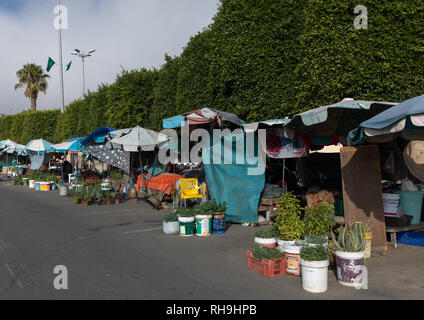 Marché des femmes, province d'Asir, Abha, Arabie Saoudite Banque D'Images