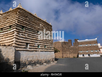 Maisons de boue et de pierres d'ardoises à al Khalaf, village de la province d'Asir, Sarat Abidah, l'Arabie Saoudite Banque D'Images