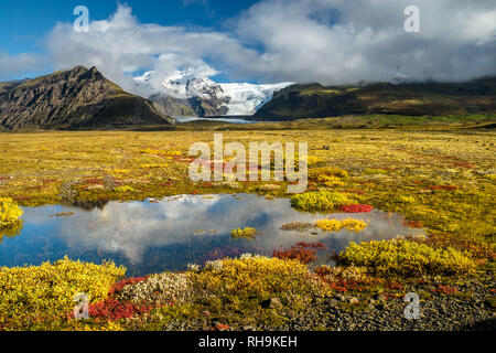 La toundra d'automne dans le parc national de Skaftafell Banque D'Images
