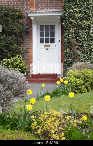 Porte avant pour une période anglais maison à Londres avec un jardin de fleurs au printemps planté de jonquilles Banque D'Images