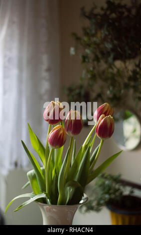 Tulipes dans un vase en porcelaine - cuisine rustique intérieur avec des fleurs de printemps Banque D'Images