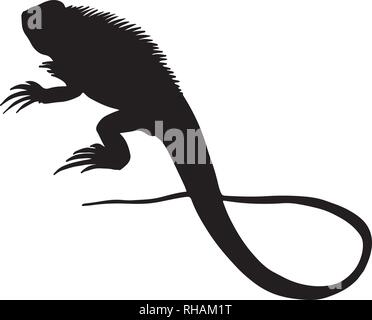 Lézard Iguane noir Silhouette Vector Illustration Illustration de Vecteur