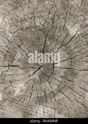 Closeup of old wooden background Banque D'Images