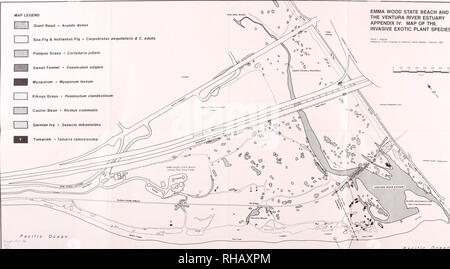 . Les ressources botaniques à Emma Wood State Beach et l'estuaire de la rivière de Ventura, Californie : inventaire et de gestion : rapport à l'état de California Department of Parks and Recreation / par Wayne R. Ferren Jr. ... [Et al.].. Les plantes ; Californie ; Emma Wood State Beach. ; plantes ; Californie ; Ventura et de l'estuaire de la rivière.. Légende de la carte * Arundo donax Roseau géant Fig Mer &AMP ; Hottentot Fig * Carpobrotus aequilatehs &AMP ; C. edulis pampas grass * Cortadaria jubata EMMA WOOD STATE BEACH ET L'estuaire du fleuve VENTURA ANNEXE IV : CARTE DES ESPÈCES DE PLANTES EXOTIQUES ENVAHISSANTES LA David L. Magney ot d'herbier l'Univer Banque D'Images