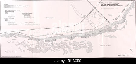 . Les ressources botaniques à Emma Wood State Beach et l'estuaire de la rivière de Ventura, Californie : inventaire et de gestion : rapport à l'état de California Department of Parks and Recreation / par Wayne R. Ferren Jr. ... [Et al.].. Les plantes ; Californie ; Emma Wood State Beach. ; plantes ; Californie ; Ventura et de l'estuaire de la rivière.. . Veuillez noter que ces images sont extraites de la page numérisée des images qui peuvent avoir été retouchées numériquement pour plus de lisibilité - coloration et l'aspect de ces illustrations ne peut pas parfaitement ressembler à l'œuvre originale.. Ferren, Wayne R. Santa Barbara : Herbier, Dept. of Biologica Banque D'Images