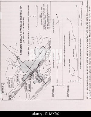 . Les ressources botaniques à Emma Wood State Beach et l'estuaire de la rivière de Ventura, Californie : inventaire et de gestion : rapport à l'état de California Department of Parks and Recreation / par Wayne R. Ferren Jr. ... [Et al.].. Les plantes ; Californie ; Emma Wood State Beach. ; plantes ; Californie ; Ventura et de l'estuaire de la rivière.. 161. Veuillez noter que ces images sont extraites de la page numérisée des images qui peuvent avoir été retouchées numériquement pour plus de lisibilité - coloration et l'aspect de ces illustrations ne peut pas parfaitement ressembler à l'œuvre originale.. Ferren, Wayne R. Santa Barbara : Herbier, Dept. de Biolog Banque D'Images