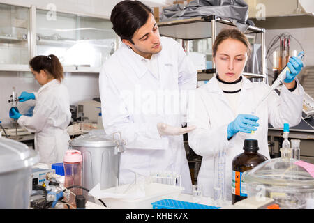 La recherche scientifique en laboratoire. Deux jeunes scientifiques réactifs de mélange en tube à essai avec une pipette de laboratoire Banque D'Images