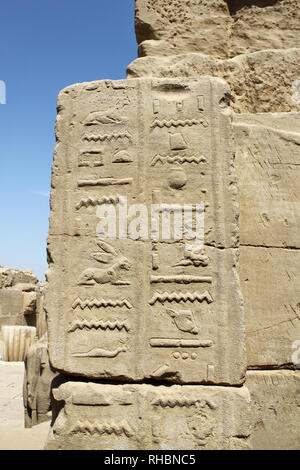 L'ancienne Egypte hiéroglyphes dans le Temple de Karnak, Louxor Banque D'Images