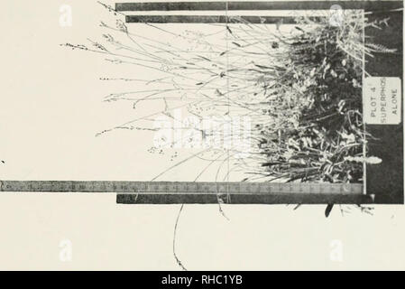 . Le livre de l'Rothamsted expériences. Lawes, J. B. (John Bennett), 1814-1900 ; Gilbert, Joseph Henry, Sir, 1817-1901 ; Rothamsted Experimental Station, de l'Agriculture -- l'expérimentation ; chimie agricole. . Veuillez noter que ces images sont extraites de la page numérisée des images qui peuvent avoir été retouchées numériquement pour plus de lisibilité - coloration et l'aspect de ces illustrations ne peut pas parfaitement ressembler à l'œuvre originale.. Hall, Daniel, Sir, 1864-1942 ; confiance ; Comité agricole Lawes Warington, Robert, 1838-1907. Londres, J. Murray Banque D'Images