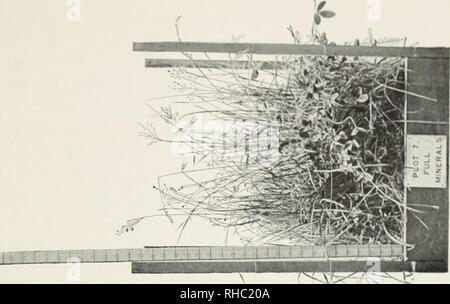 . Le livre de l'Rothamsted expériences. Lawes, J. B. (John Bennett), 1814-1900 ; Gilbert, Joseph Henry, Sir, 1817-1901 ; Rothamsted Experimental Station, de l'Agriculture -- l'expérimentation ; chimie agricole. f. Veuillez noter que ces images sont extraites de la page numérisée des images qui peuvent avoir été retouchées numériquement pour plus de lisibilité - coloration et l'aspect de ces illustrations ne peut pas parfaitement ressembler à l'œuvre originale.. Hall, Daniel, Sir, 1864-1942 ; confiance ; Comité agricole Lawes Warington, Robert, 1838-1907. Londres, J. Murray Banque D'Images