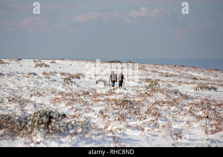 Swansea, Royaume-Uni. 06Th Feb 2019. Les gens de la randonnée dans la neige sur le haut de Cefn Bryn près de Reynoldston sur la péninsule de Gower, près de Swansea cet après-midi, après le repas était recouvert de neige. Credit : Phil Rees/Alamy Live News Banque D'Images