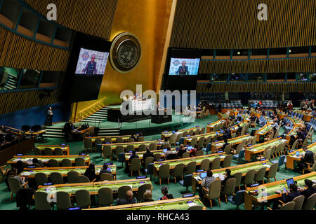 New York, USA. 06Th Feb 2019. La photo montre la cérémonie de lancement de la première année internationale des langues autochtones au siège des Nations Unies à New York, le 1 février 2019. Assemblée Générale des Nations unies (AGNU) président vendredi a exhorté la communauté internationale à mieux "couvrir" et "préserver" les langues autochtones. Source : Xinhua/Alamy Live News Banque D'Images