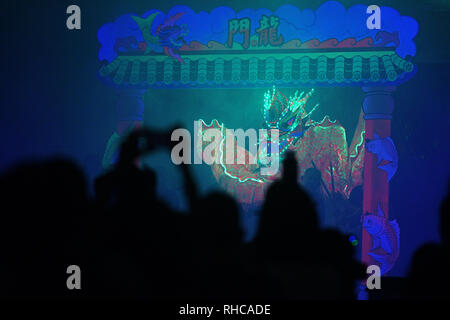 Singapour. 1er février, 2019. Répéter les artistes show 'Carpes sautant par-dessus la porte du Dragon' dans l'Supertree Grove au Singapore's Gardens by the Bay on fév 1, 2019. Gardens by the Bay présentera la performance 'Carpes sautant par-dessus la porte du Dragon' pendant la période du Nouvel An chinois le 9 février et 10 dans le cadre de la fête du Nouvel An chinois. Credit : Puis Chih Wey/Xinhua/Alamy Live News Banque D'Images