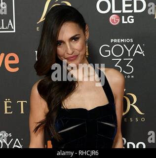 Sevilla, Espagne. Feb 2019 2ème. L'actrice Cristina Brondo au photocall au cours de la 33e assemblée annuelle Goya Film Awards à Séville, le samedi 2 février, 2019. Credit : CORDON PRESS/Alamy Live News Banque D'Images