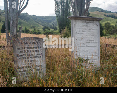 Deux pierres tombales du souvenir pour les soldats du gouvernement ont tué Mai 1869 par résistance à l'invasion des guerriers Tuhoe, Ruatahuna, Te Urewera, île du Nord Nouvelle-zélande Banque D'Images
