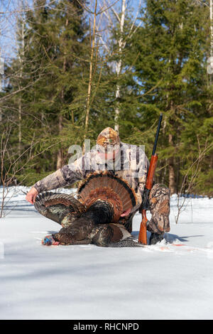 Hunter posant avec son printemps la Turquie dans le nord du Wisconsin. Banque D'Images