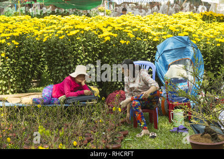 Marché aux fleurs à Ho Chi Minh, Vietnam Banque D'Images