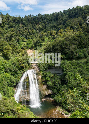 Mokau Falls, les collines couvertes de bush, Te Urewera National Park, North Island, New Zealand Banque D'Images