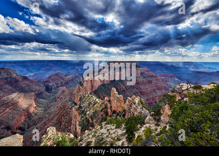 Orage et rayons de soleil sur Grand Canyon, trône Wotans, Cape Royal vue, Arizona, USA Banque D'Images