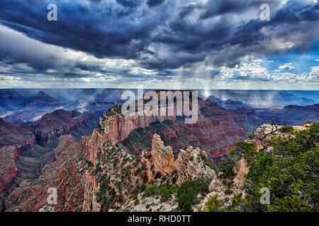 Orage et rayons de soleil sur Grand Canyon, trône Wotans, Cape Royal vue, Arizona, USA Banque D'Images