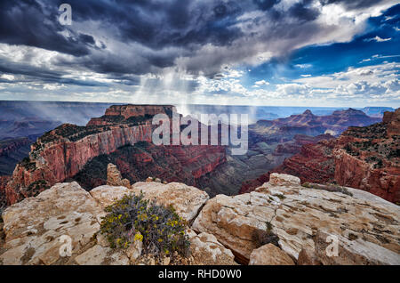 Orage et rayons de soleil sur Grand Canyon, trône Wotans, Cape Royal vue, Arizona, USA Banque D'Images