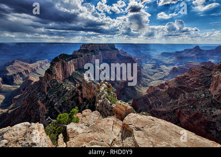 Grand Canyon, trône Wotans, Cape Royal vue, North Rim, Arizona, USA Banque D'Images