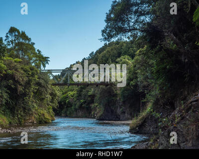 Ogilvies, Tauranga Bridge River Valley, Waimana, Te Urewera National Park, Bay of Plenty, île du Nord, Nouvelle-Zélande Banque D'Images