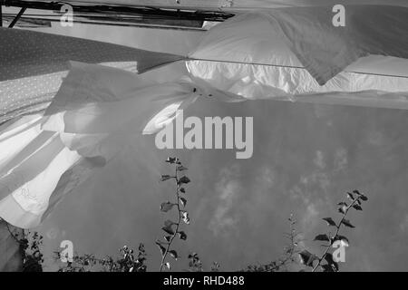 Les feuilles d'un blanc pur en train de sécher dehors par un jour de vent sur une ligne de lavage Banque D'Images