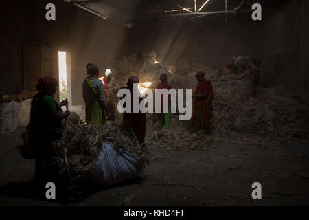 DHAKA, BANGLADESH - 24 janvier : Les femmes qui travaillent dans environmentinside la poussière de l'usine de traitement de jute à près de Dhaka, Bangladesh, le 24 janvier 2019. Banque D'Images