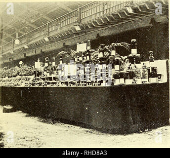 . Le livre de fruits la mise en bouteille. La préservation et la mise en conserve. Une exposition de bouteilles d'PIUHT ANM) de confiture. Veuillez noter que ces images sont extraites de la page numérisée des images qui peuvent avoir été retouchées numériquement pour plus de lisibilité - coloration et l'aspect de ces illustrations ne peut pas parfaitement ressembler à l'œuvre originale.. Bradley, Edith ; Crooke, mai, coauteur. Londres, New York, J. Lane Banque D'Images