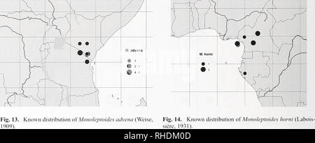. Bulletin zoologique de Bonn. Zoologie. Fig. 11. Monoleptoides diiplicata distribution connue de Fig. 12. Distribution connue de Monoleptoides trivialis (Ger- (Sahiberg, 1823). staecker, 1855).. Veuillez noter que ces images sont extraites de la page numérisée des images qui peuvent avoir été retouchées numériquement pour plus de lisibilité - coloration et l'aspect de ces illustrations ne peut pas parfaitement ressembler à l'œuvre originale.. Zoologisches Forschungsmuseum Alexander Koenig. Bonn : Zoologisches Forschungsmuseum Alexander Koenig Banque D'Images