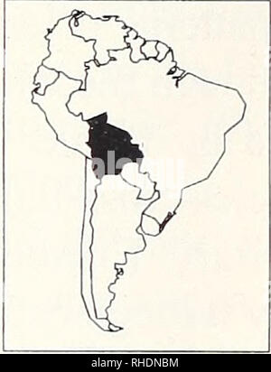 . Bonner zoologische Monographien. Zoologie. 72 La richesse relative :-l et bolivien 45.10/, (y %)r-:X:l^ Endemlsm. Veuillez noter que ces images sont extraites de la page numérisée des images qui peuvent avoir été retouchées numériquement pour plus de lisibilité - coloration et l'aspect de ces illustrations ne peut pas parfaitement ressembler à l'œuvre originale.. Bonn, Zoologisches Forschungsinstitut und Museum Alexander Koenig Banque D'Images