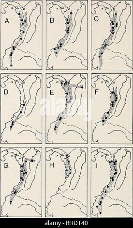 . Bonner zoologische Monographien. Zoologie. 56. Fig. 21 : La distribution d'oiseaux forestiers de la Colombie du Pacifique. Explication : Gamme est flammées, cercles pleins indiquer localité records. Une Penelope ortoni, un guan. B Columba goodsoni, un pigeon. C Pionopsitta pulchra, un perroquet. Un enregistrement d'El chirale, l'ouest de l'Équateur, tombe juste au sud de la zone indiquée. Le représentant de l'Amérique centrale est P. haematotis. D Neomorphus radiolosus, un rez-de-cuckoo. Le milieu allié américain N. geolfroyi salvini varie dans le nord-ouest de la Colombie au sud de la région. Chocö E Androdon aequatorialis, une monot Banque D'Images