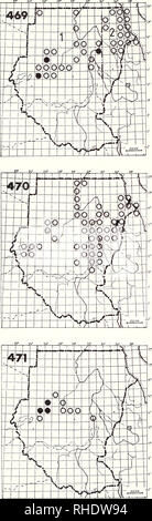 . Bonner zoologische Monographien. Zoologie. 154. 468 Black-tailed Lark Sable (672) kinnearia cinctura Ammomanes R BR 1-3 rare disque désert graveleux avec peu de végétation 469 (673) Sand Lark Ammomanes deserti 1) A. d. erythrochroa R BR 2-4 assez communs herbes courtes et pierreux aride du désert 2) A. d. samharensis R NBR assez commune dans les collines rocheuses bagués le désert 470 circaète Jean-Lark Calandrella brachydactyla (684)//hermonensis brachydactyla longipennis PM (10-3) W plaines d'herbe courte abondantes Remarques : besoin de plus de renseignements au sujet de l'abondance et la distribution des trois subs Banque D'Images