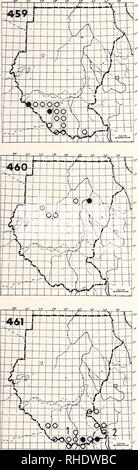 . Bonner zoologische Monographien. Zoologie. 151. 458 Pic de Nubie (Campethera nubica nubica) 619 R BR 3-5 assez communs n'importe quel genre de bush et de bois Commentaires : Il est remplacé par le Pic mar dans le sud-ouest. 459 amende-pic mar (621) punctuligera Campethera balia R BR 3, 4 Remarques : forestiers assez commun au dossier à Torit est en dehors de la plage normale. 460 Little Grey Woodpecker (625) Dendropicos elachus R BR 2 rare semi-arides des prairies 461 acacia Pic Cardinal Dendropicos fuscescens (623) 1) D. f. lepidus R BR 1, 2 localement commune mieux et forestiers fores Banque D'Images