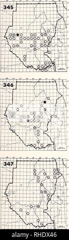 . Bonner zoologische Monographien. Zoologie. ". 345 Pearl-spotted Owlet Glaucidium perlatum (538) licua R BR 5, 6 sec assez commun et acacia prairie boisée ouverte à face blanche 346 Scops Owl Otus leucotis (536) leucotis R BR 1 assez commune dans le Nord, peu fréquent dans le sud de la savane et les forêts d'acacia 347 Eurasian Scops Owl Otus scops (534) SCOP/pulchellus H (10-4) W localement commune sur le passage dans le Nord, peu commune à rare ailleurs Remarques : La gamme exacte et l'abondance des deux formes n'est pas clair, un spécimen plus proche de O. s. turanicus a été collectée à Dongola (Bowen, 1926 Banque D'Images