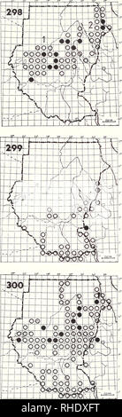 . Bonner zoologische Monographien. Zoologie. 104. Colombe à tête rose 298 (391) Streptopelia roseogrisea) 1 S. roseogrisea. r R BR 1-5, 12 semi-arides des savanes acacia 2) S. r l'arabica R ? LM PM ? BR 4, 7 semi-arides des savanes acacia Remarques : La plupart des oiseaux de les collines de la mer Rouge (S. r. l'arabica) migrent vers le sud d'octobre à février 299 Red-eyed Dove Streptopelia semitorquata R BR 9-11 mieux commun savanes boisées et les forêts-galeries 300 rire Dove (Streptopelia senegalensis senegalensis) 392 LM R H (9-2) W BR 2-6, 10-12, commune très courante dans les villages cultures, forêts et savanes ouvertes Banque D'Images