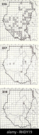 . Bonner zoologische Monographien. Zoologie. 80. Laridés SNIPES - les bécasseaux, 216 312 (jaune) Tringa totanus H (7-5) UN W S'tout type d'eau et milieux humides remarques : Deux oiseaux bagués en Afrique du Sud et le Zimbabwe ont été retrouvés en Afrique du Su- dan sur passage de printemps (321) 217 Courlis esquimau Numenius arquata arquata orientalis/h (8-5) W SU commun sur la mer Rouge mais toujours en petit nombre, à l'intérieur des terres rares et de sable côtières boueuses des ruisseaux et la- casseurs, les lacs peu profonds et des berges Remarques : Il n'est pas clair qui sous-espèces sont impliquées 218 Courlis corlieu (Numenius phaeopus phaeopus) 322 H (7 Banque D'Images