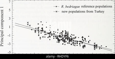 . Bonner zoologische Beiträge : Herausgeber : Zoologisches Forschungsinstitut und Museum Alexander Koenig, Bonn. Biologie ; Zoologie. 10 15 20 25 30 35 [°C]. 10 15 20 25 30 35 [°C] Fig. 5. Publicité en fonction de la température (variation d'appels présentés comme composante principale 1 Sur la base de neuf variables d'appel, tableau 1) dans neuf populations de grenouilles de l'eau de Turquie en comparaison à celle de Rana ridibimda (haut) et R. bedriagae (bas) populations de référence. Lignes de régression diffèrent significativement entre R. ridibimda et les nouvelles populations à l'égard de pentes et d'ordonnées, b Banque D'Images