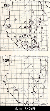 . Bonner zoologische Monographien. Zoologie. 127 milan à queue fourchue (Chelictinia riocourii) 131 M ? LM BR 3-5 rare semi-désert, bagués avec prairie quelques grands arbres Remarques : Mouvements pas claire, peut-être seulement une saison sèche d'élevage. 128 Black-shouldered Kite (Elanus caeruleus caeruleus) 133 LM BR 12 assez communs tout en favorisant l'habitat, mais les lieux plus humides avec des buissons et arbres 129 Bat Hawk Macheiramphus alcinus (134) anderssoni R NBR peu commune à rare mieux savane boisée avec de grandes populations de chauves-souris petites remarques : Peut-être négligés dans certaines régions. Veuillez noter que ces images un Banque D'Images