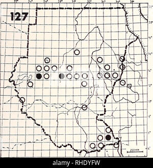 . Bonner zoologische Monographien. Zoologie. 53. 127 milan à queue fourchue (Chelictinia riocourii) 131 M ? LM BR 3-5 rare semi-désert, bagués avec prairie quelques grands arbres Remarques : Mouvements pas claire, peut-être seulement une saison sèche d'élevage. Veuillez noter que ces images sont extraites de la page numérisée des images qui peuvent avoir été retouchées numériquement pour plus de lisibilité - coloration et l'aspect de ces illustrations ne peut pas parfaitement ressembler à l'œuvre originale.. Bonn, Zoologisches Forschungsinstitut und Museum Alexander Koenig Banque D'Images