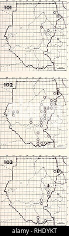 . Bonner zoologische Monographien. Zoologie. * 45. 101 (137) de l'aigle impérial Aquila heliaca heliaca H (1-3) avec de rares prairies ouvertes et bagués plains Remarques : Il n'y a quatre records d'im- les oiseaux adultes basé sur skins et une voiture casualty (Musée de Khartoum, G. Nikolaus) 102 (138) de l'Aigle des steppes Aquila nipalensis ohentalis Pil (9-4) UN W S en saison très commun (à l'Est du Nil) Les prairies ouvertes, les terres agricoles et savane bush Remarques : Dans quelques années, un grand nombre se concentrer dans le régime de Rahad à partir de février, de printemps à grande échelle le pas- sage le long de la Mer Rouge à Erkowit, très peu de dossiers d'automne Les 103 Banque D'Images